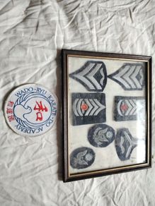 Military badges