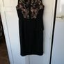 Coast Black Dress (10) Lace Top Image 5