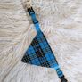 dog collar and bandana set, new. Sale Image 2