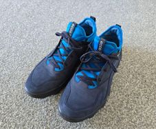 Ecco Mx Men's Nubuck Outdoor Trainer