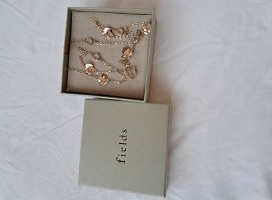BNIB Fields Chain
