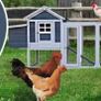 Large Chicken Coop 10 to 12 Birds Ladies Quarters Image 3
