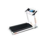 EasyStore Treadmill 1.75HP Motor- WiFi, Touchscreen, Media Player (Netflix, YouTube etc.), Download Any App.