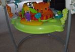 Fisher Price Rain forest