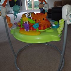 Fisher Price Rain forest