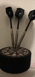 23g Phil Taylor Darts