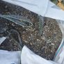 gravel Image 2