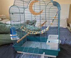 New Parrot/bird Cage Starter Kit + Tons of Accessories