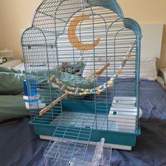 New Parrot/bird Cage Starter Kit + Tons of Accessories