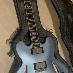 Epiphone Dave grohl 335 Dg