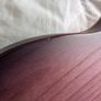 Schecter PT Special Image 4