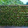 Rose Leaf Trellis 100cm X 200cm Image 4