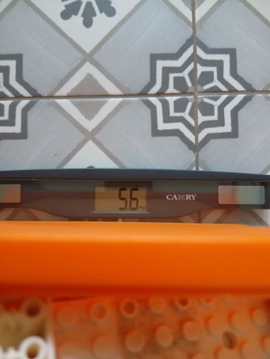 5.6kg Loose Lego