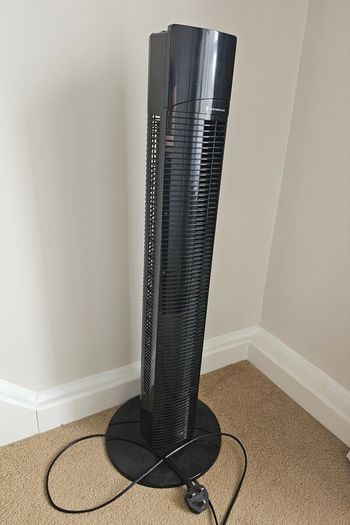 Fan
