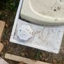 carvan toilet Image 3