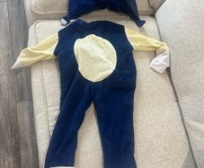 sonic hedgehog costume