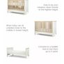 Cot beds x2 Image 9