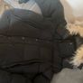 puffer Image 5