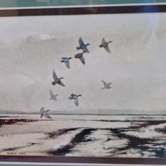 2 Vintage Framed Matthew Hillier Duck Prints