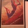 Spider-Man Framed. Image 2