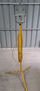 Halogen light