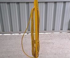 Halogen light