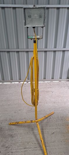 Halogen light