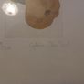 Cliona Doyle Framed Signed Print Cydonia 99 of 220 Irish Art Image 3