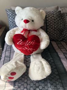 Large Teddy