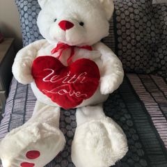 Large Teddy