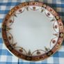 Arklow Pottery Alton Range 812.   22 Pieces Image 4