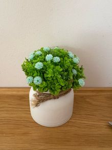 2 Pcs Artificial Potted Plants / Mini Fake Plants