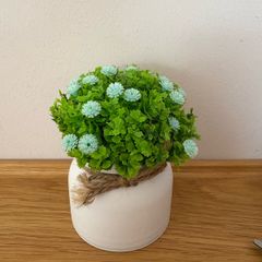 2 Pcs Artificial Potted Plants / Mini Fake Plants
