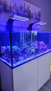 Marine fishtank res sea 350