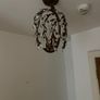 2 Hanging Ceiling Lights Image 2
