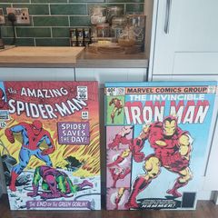 Superhero canvas prints