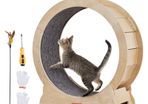 Cat Exercise Wheel, Large Cat Treadmill Wheel for Indoor Cats, 29.5 inch Cat Running Wheel with Detachable Carpet and Cat Teaser for Running/Walking/Training, Suitable for Most Cats