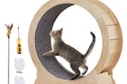Cat Exercise Wheel, Large Cat Treadmill Wheel for Indoor Cats, 29.5 inch Cat Running Wheel with Detachable Carpet and Cat Teaser for Running/Walking/Training, Suitable for Most Cats