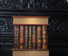 Faux Book Cabinet