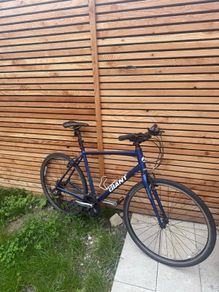 Giant Escape Hybrid Bike (L/g frame)