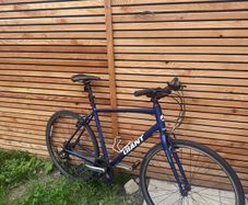 Giant Escape Hybrid Bike (L/g frame)