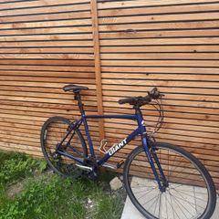 Giant Escape Hybrid Bike (L/g frame)