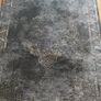 Rug Image 2