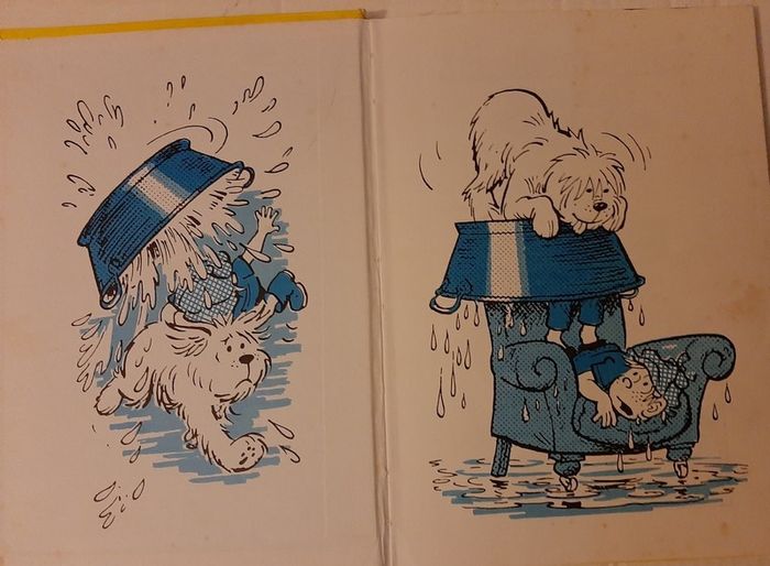 vintage 1979 The Perishers annual
