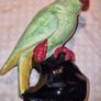 Vintage parrot - Westminster Hanley, Staffs Image 7