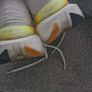 Saucony Image 4