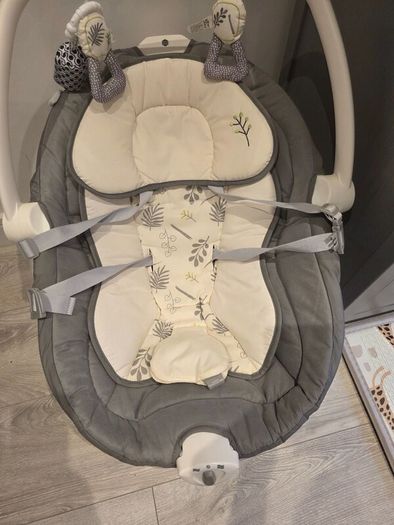Joie Emeri 2-in-1 Baby Swing and Rocker Fern