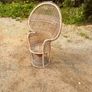 Peacock chair Image 3