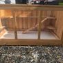 Large hamster cage + accessories + Robovski dwarf hamster Image 4