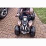 Electric quad read full add Image 2